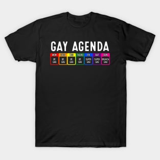 Funny Gay Gift For Women Men LGBT Pride Feminist Agenda Homo T-Shirt